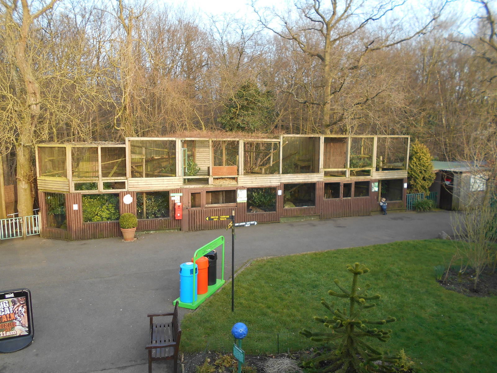 Small Carnivore enclosures - March 11th 2016