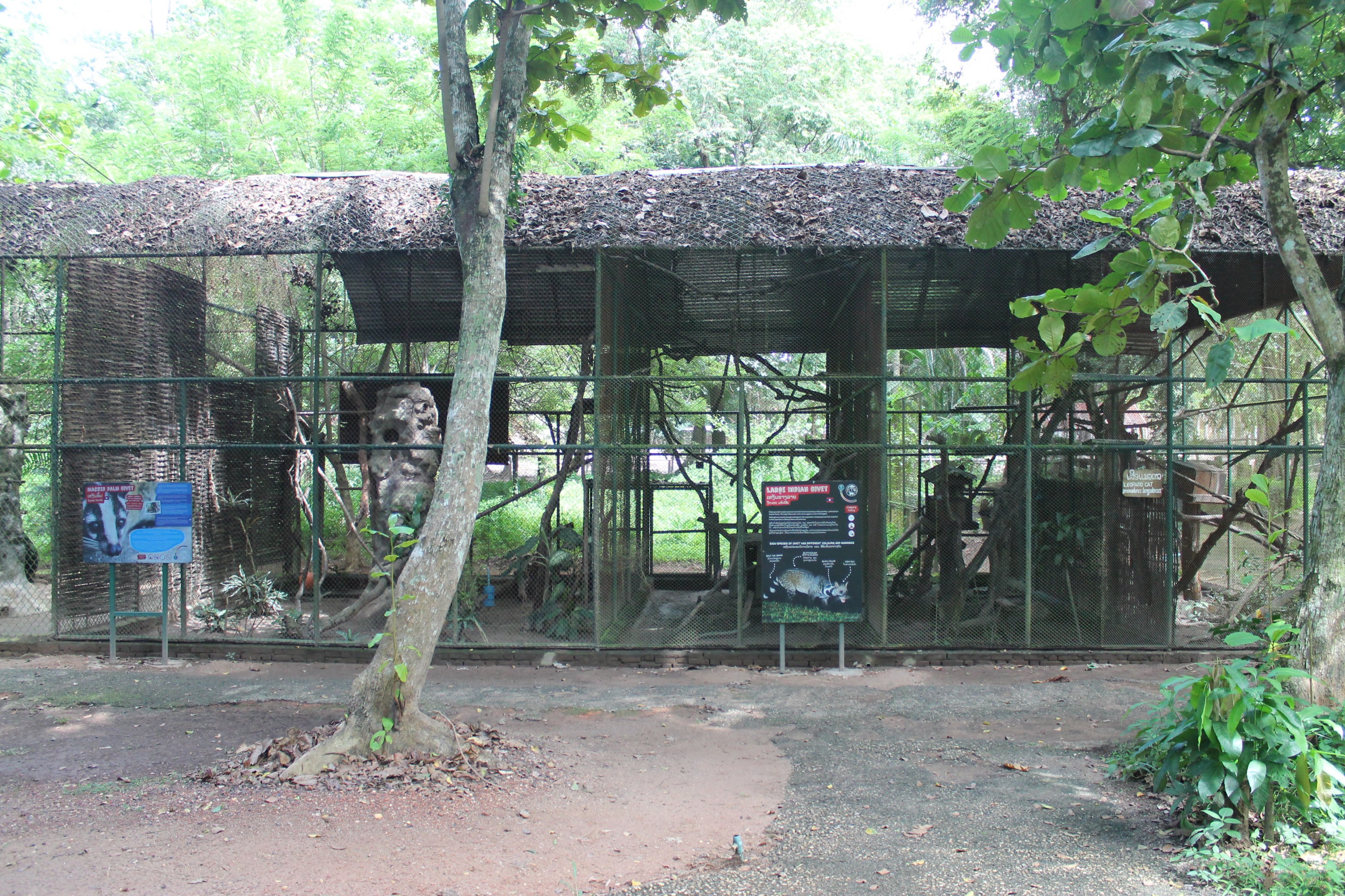 small carnivore enclosures