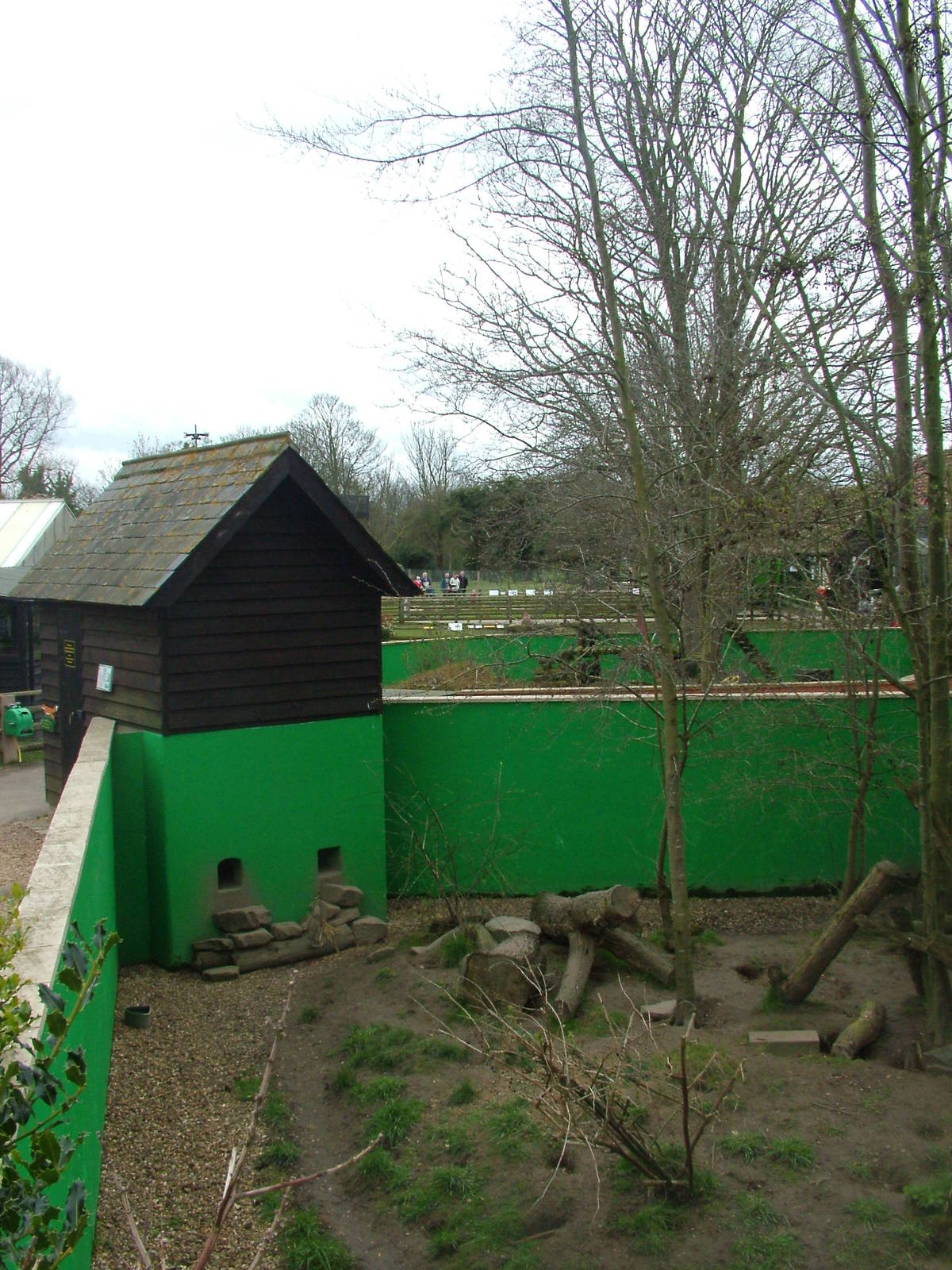 Small carnivore exhibits at Shepreth 05/04/10