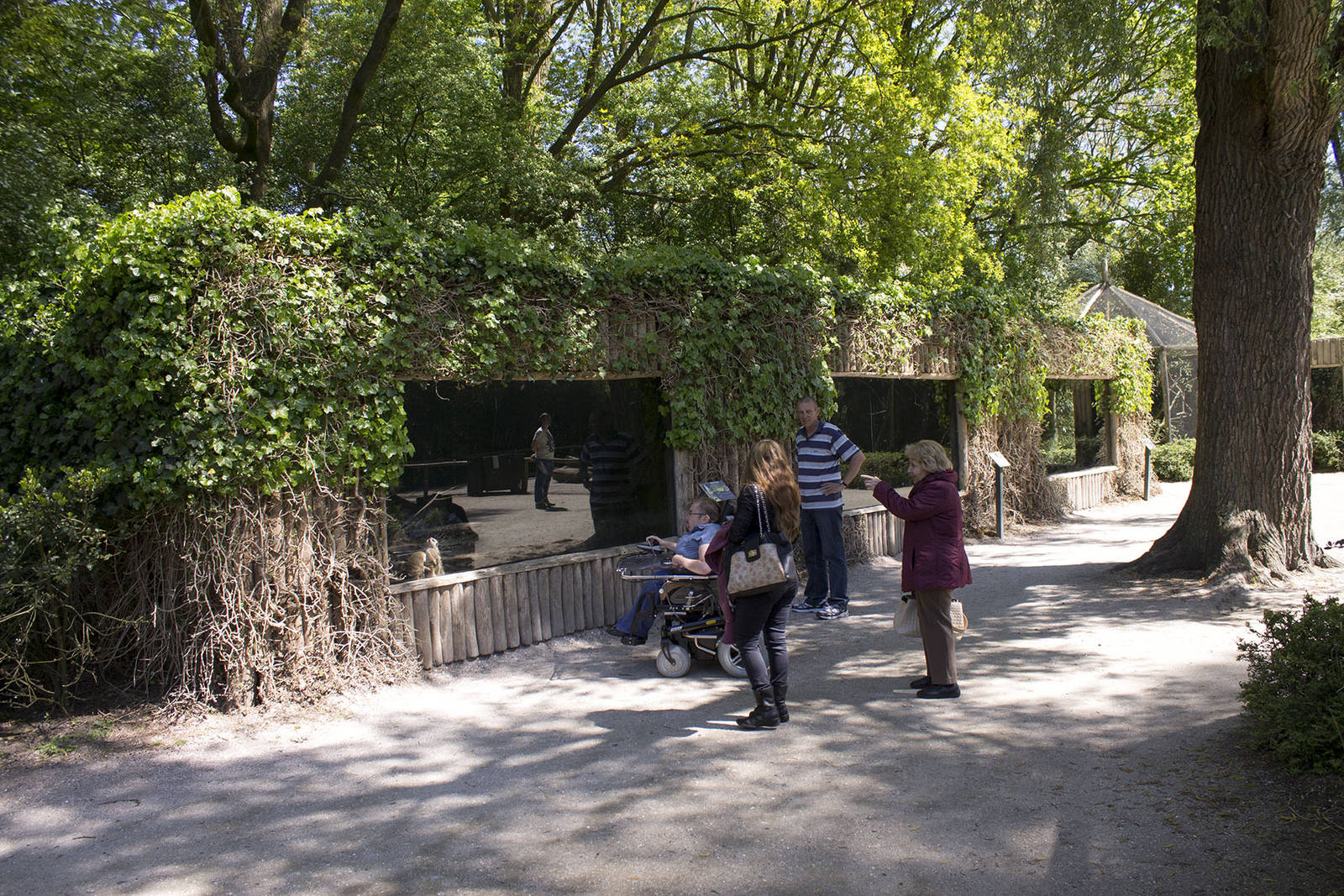 Small carnivore exhibits (May 23th, 2015)