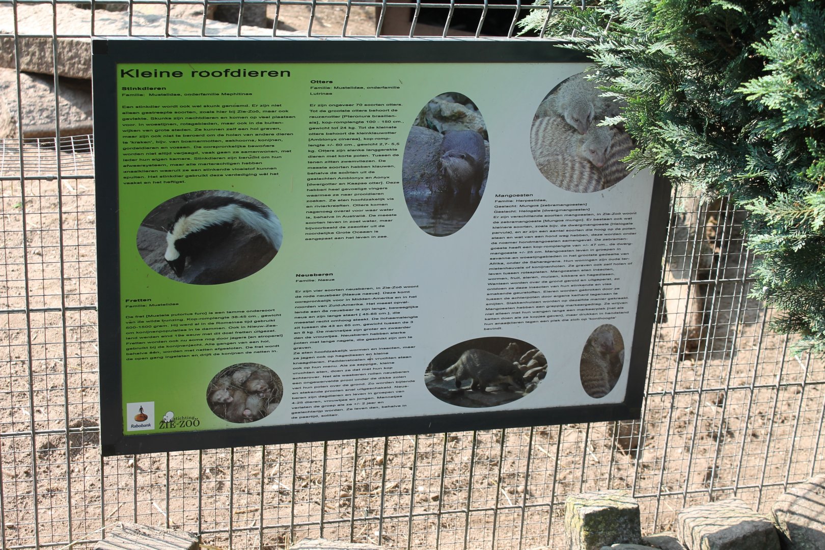 Small Carnivore info