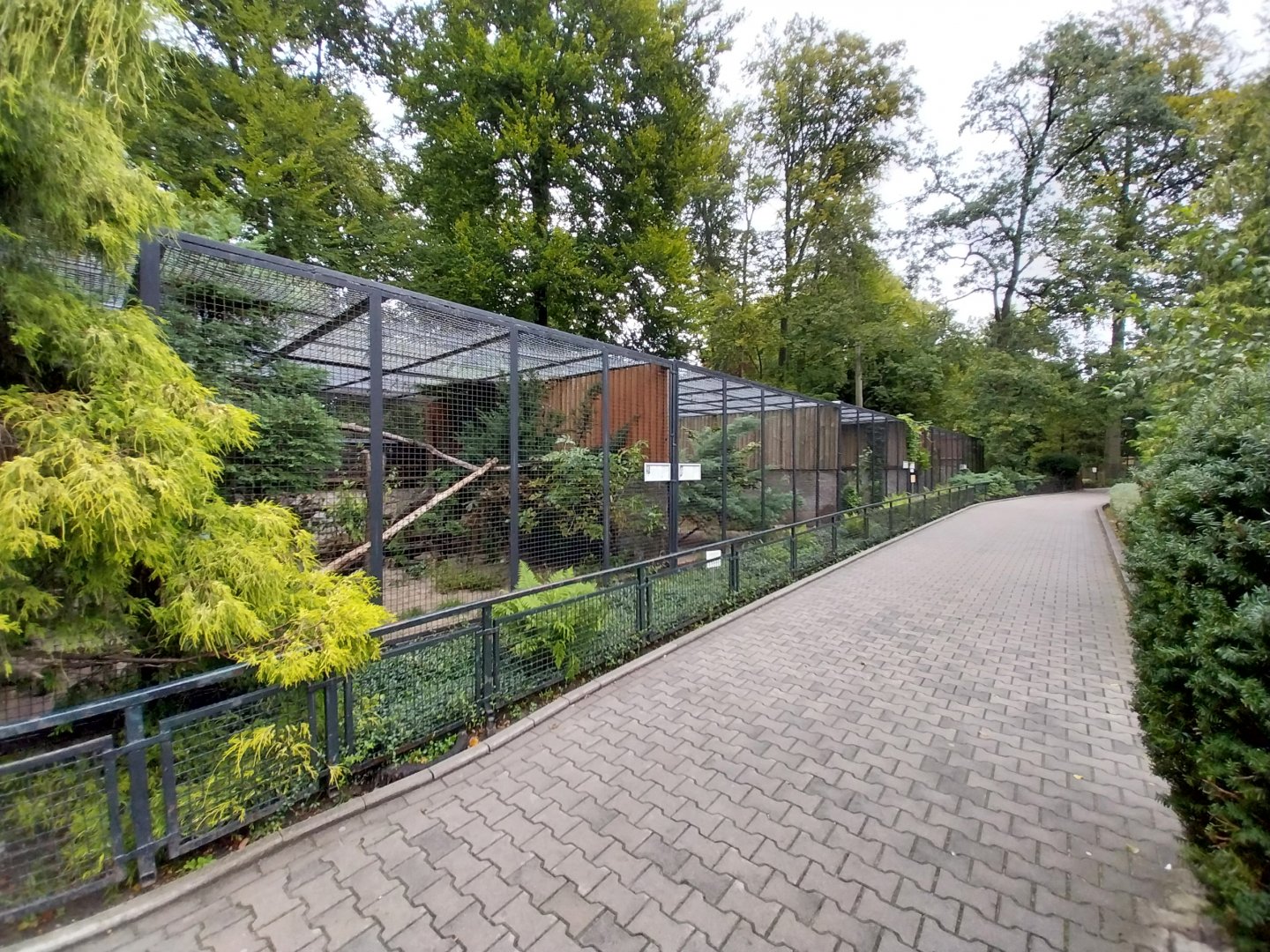 Small Carnivores enclosures