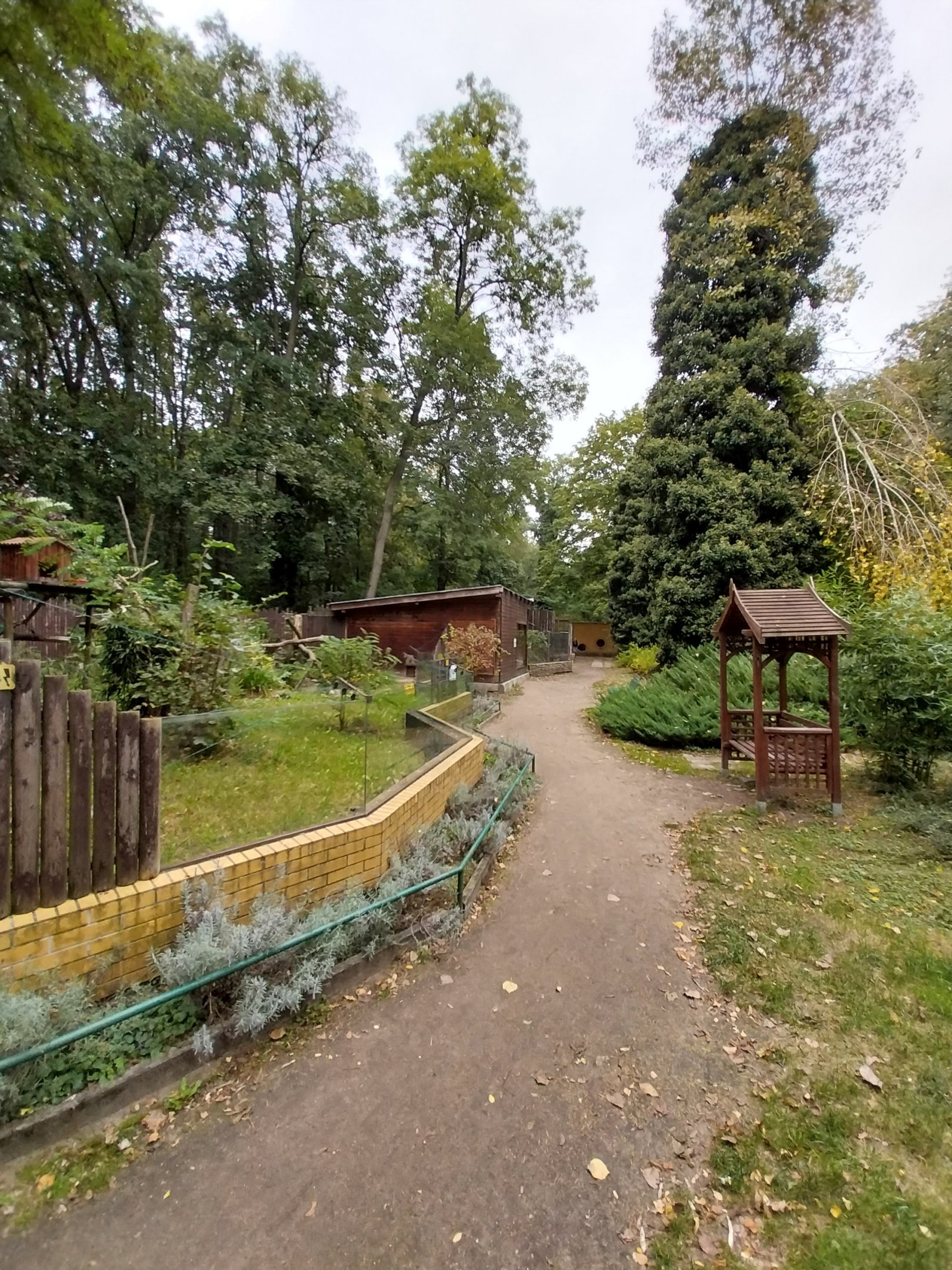 Small Carnivores - General view