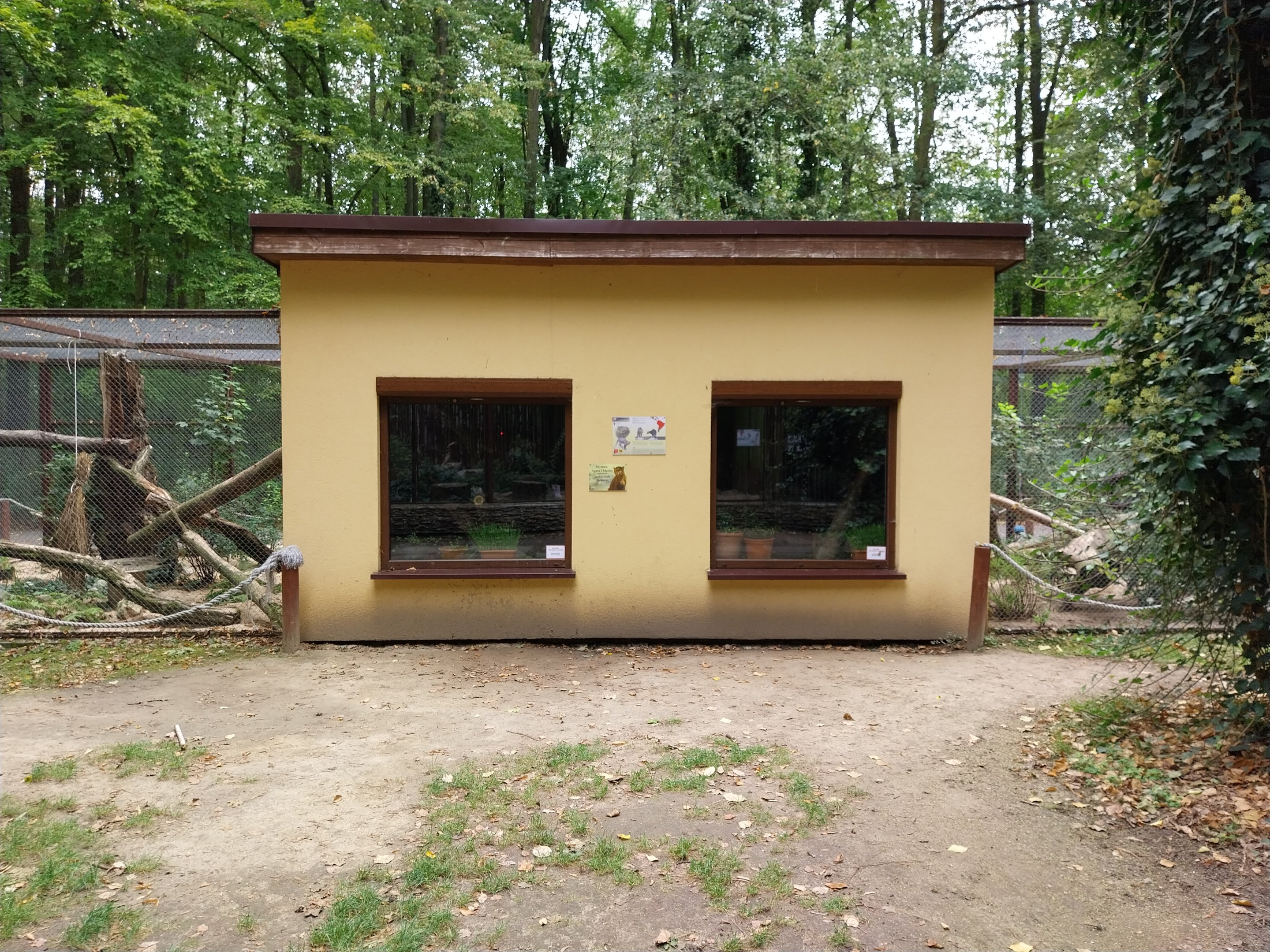 Small carnivores - Jaguarundi House