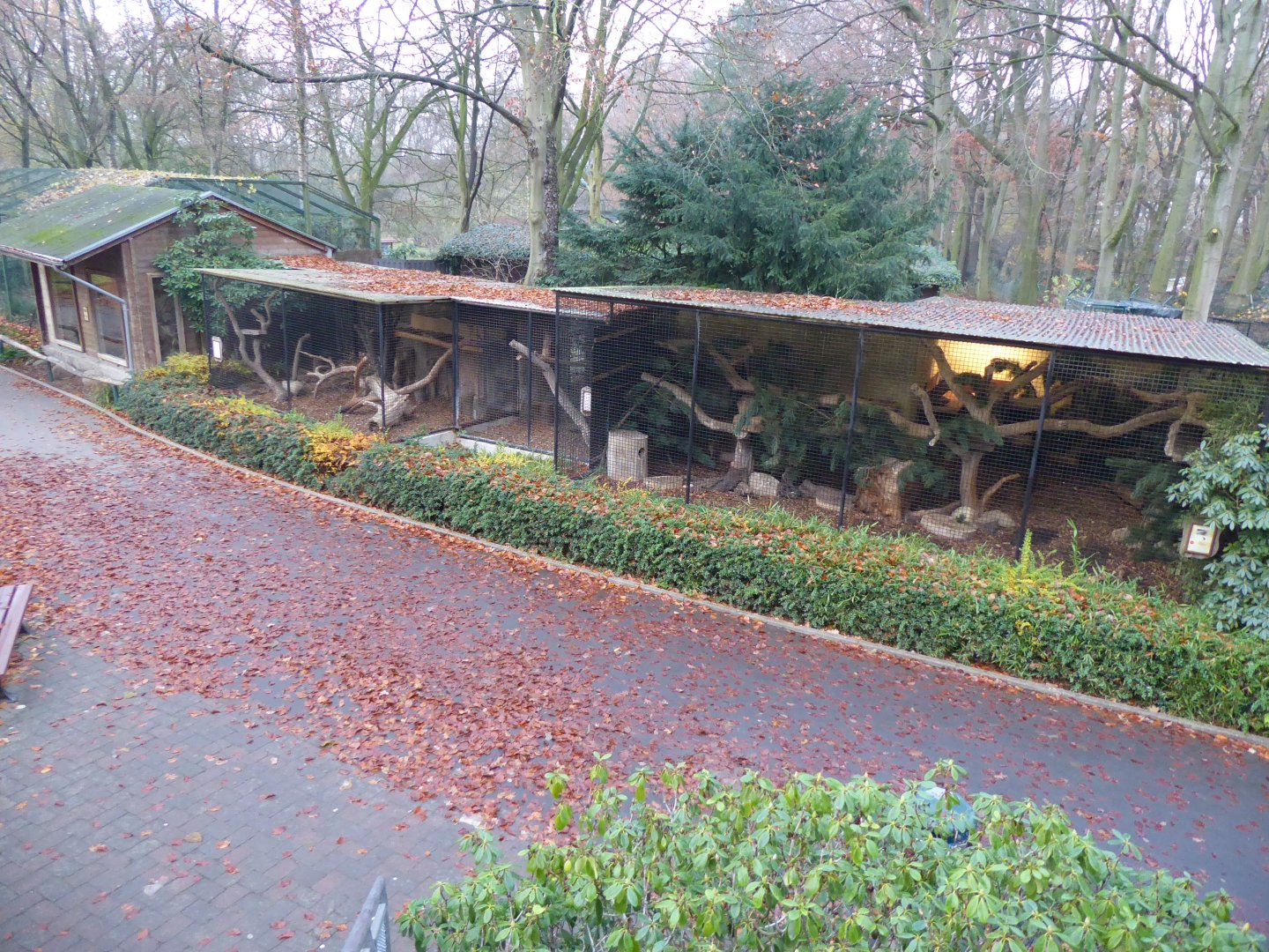 Small cat enclosures 021219