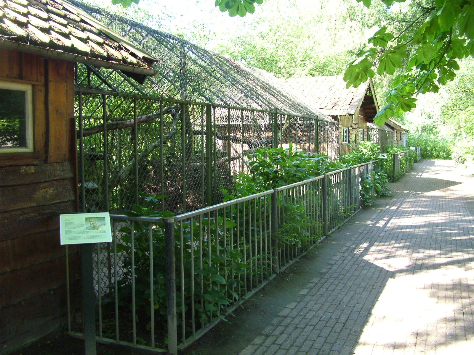 Small Cat enclosures at BestZoo 16/05/09