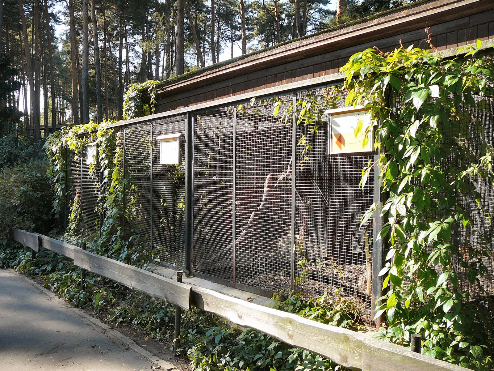 Small cat enclosures at Riga Zoo