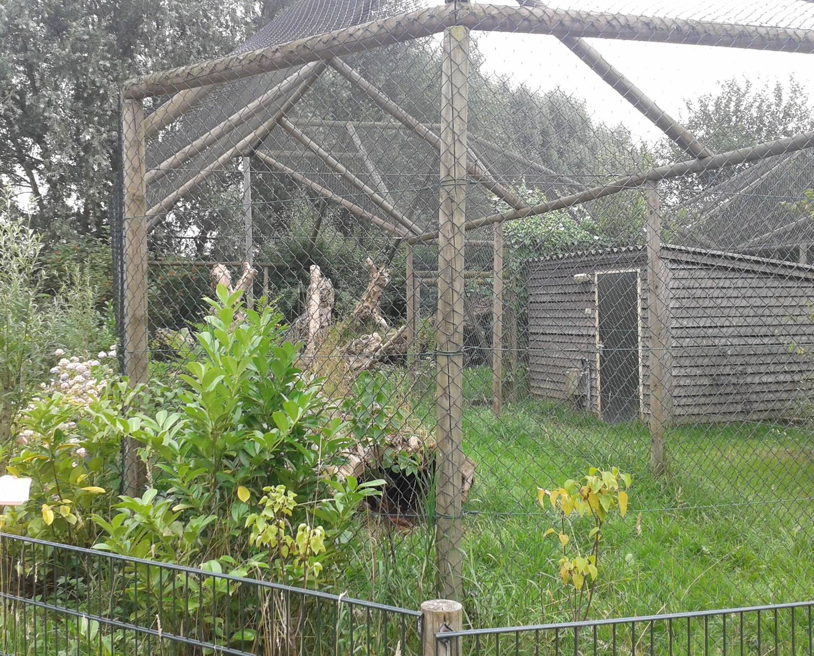 Small cat enclosures