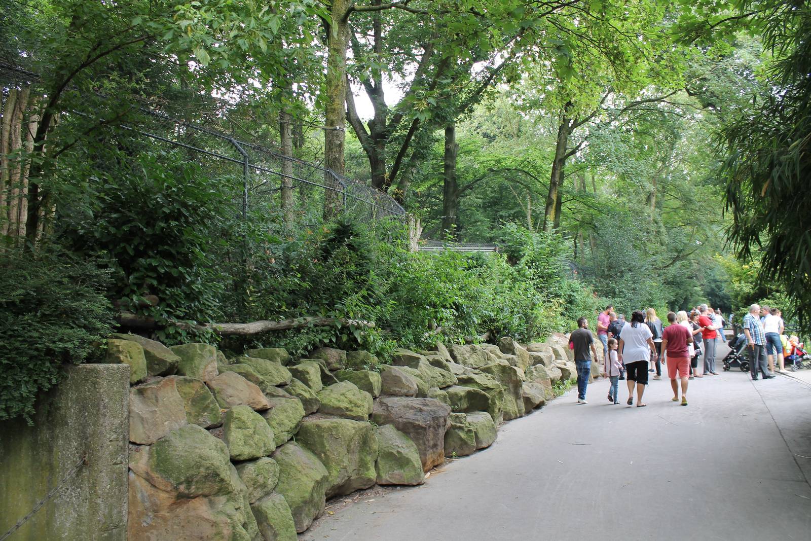 Small cat enclosures