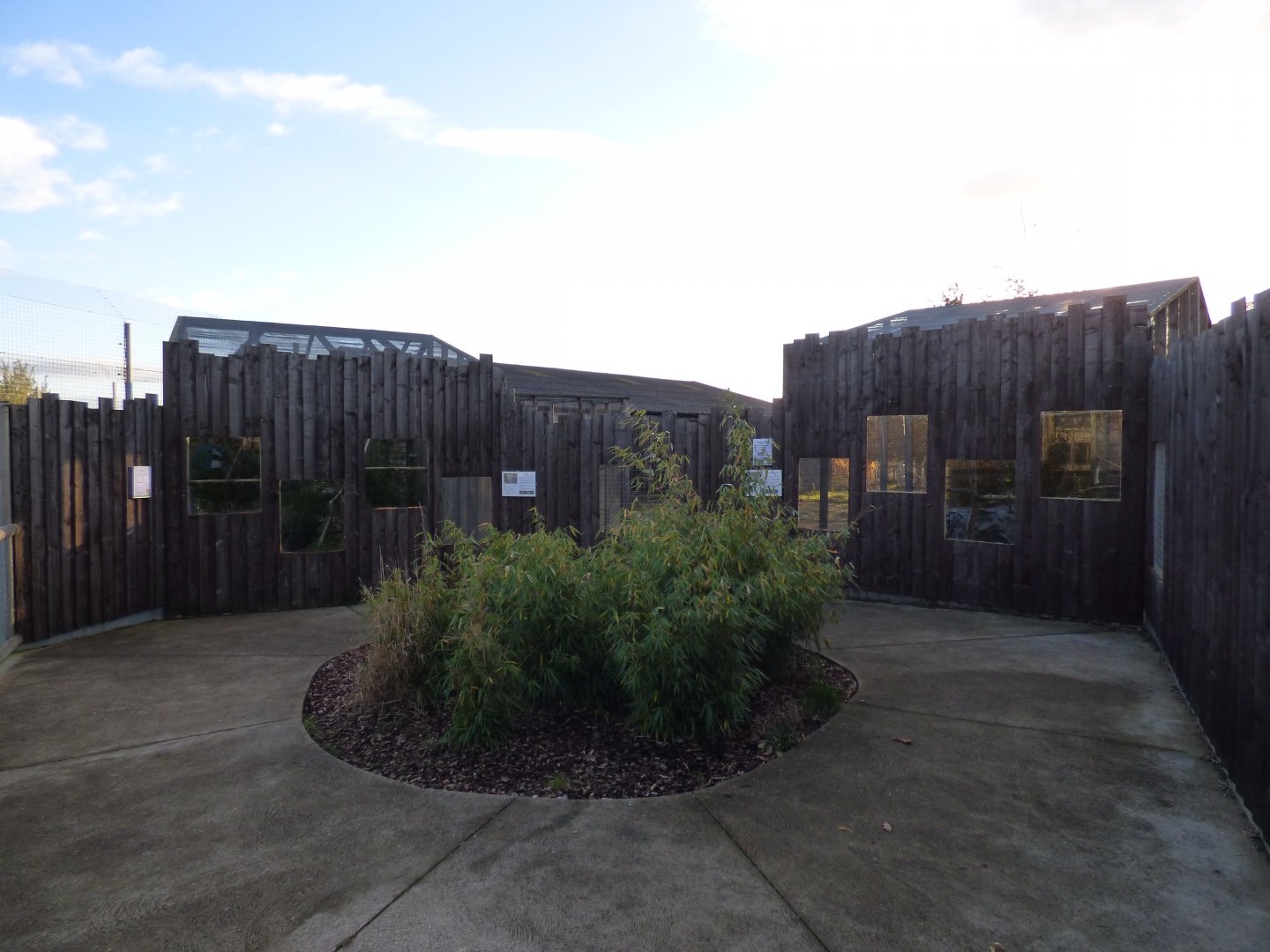 Small Cat Enclosures