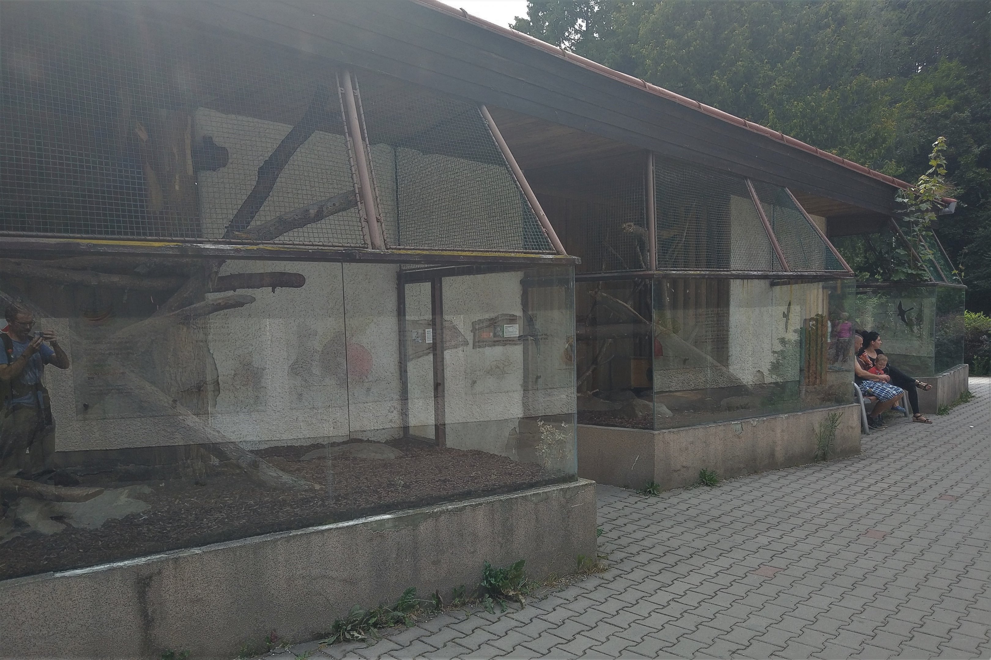 Small Cat Enclosures