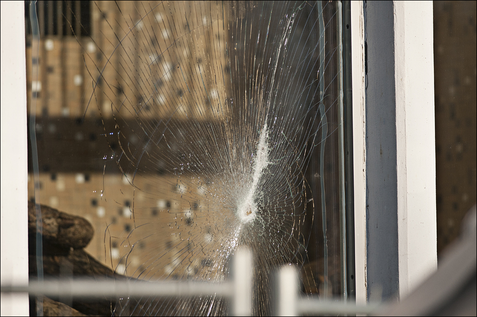 Small cat exhibit at Berlin Tierpark