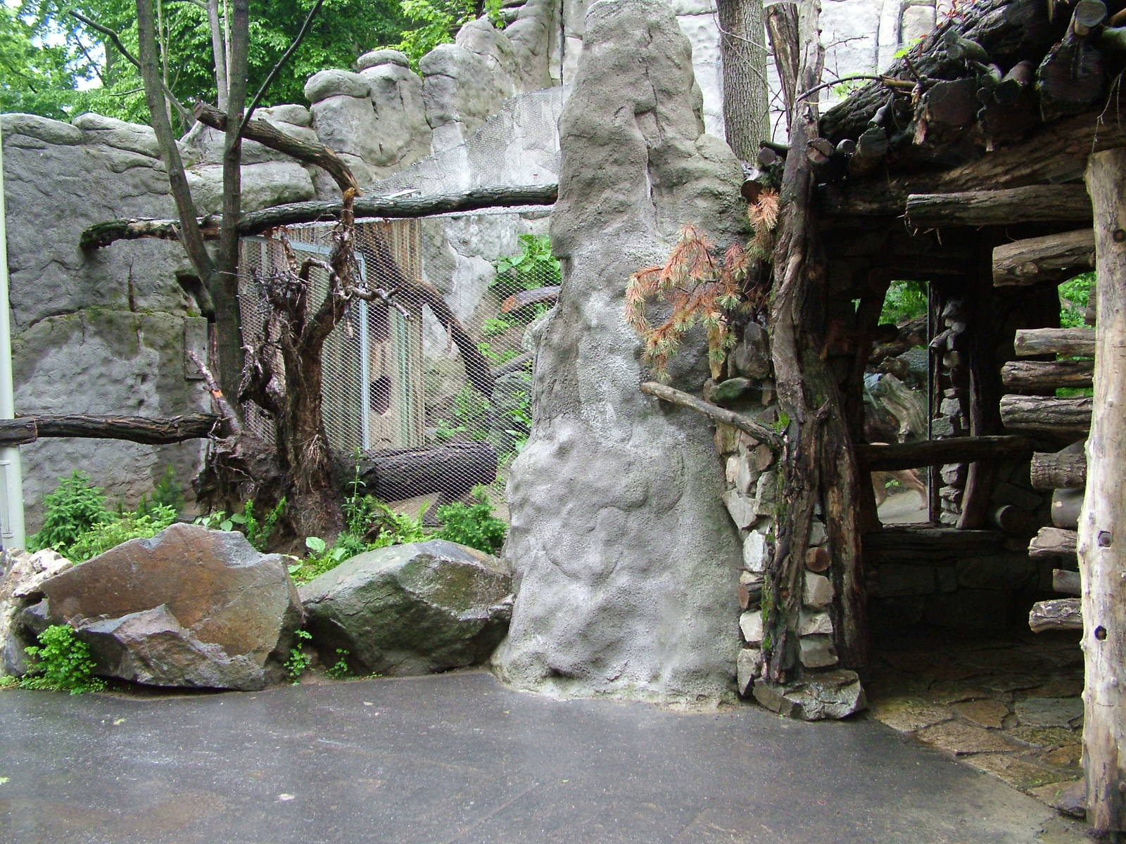 Small Cat exhibit at Jihlava, 31/05/10