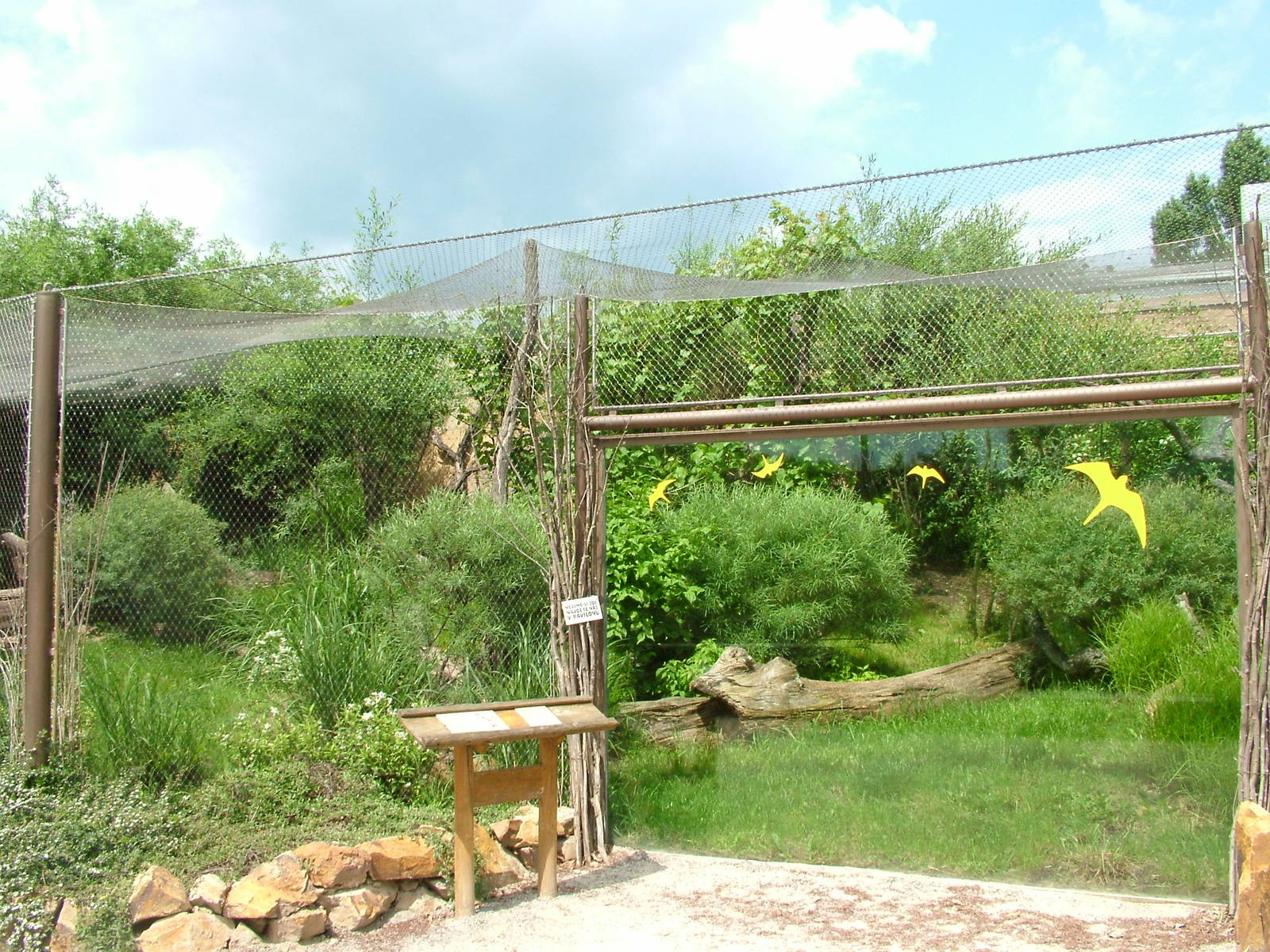 Small cat exhibit at Prague, 24/05/10