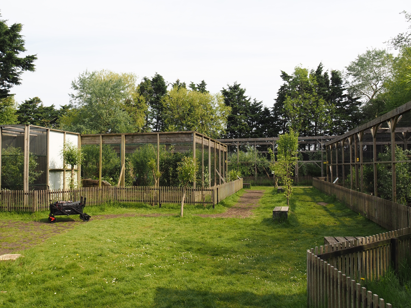 Small cat exhibits, 2024-05-11