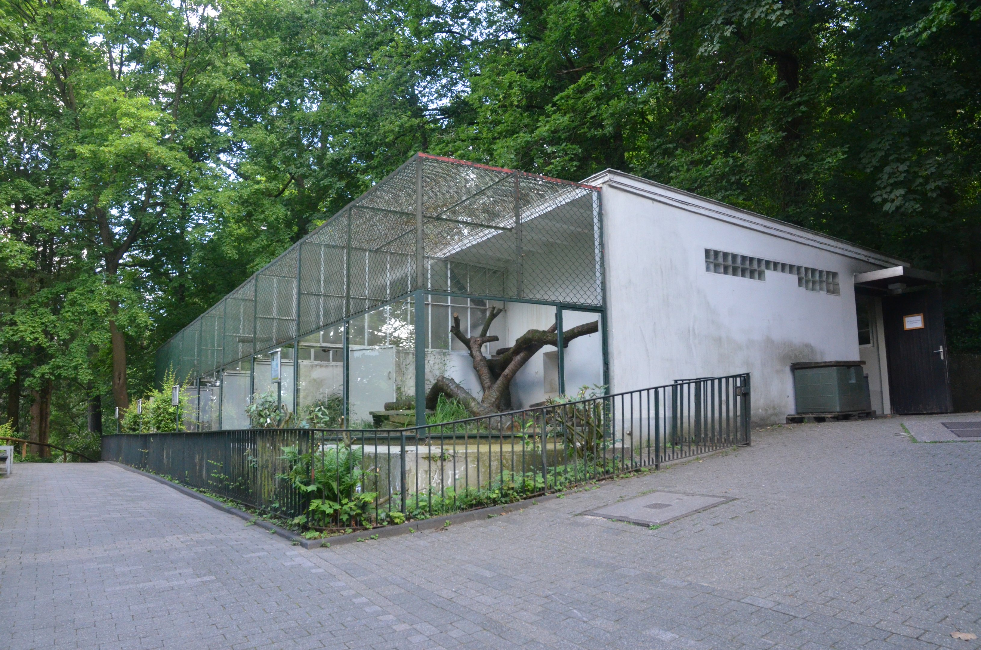 Small Cat House at Wuppertal, 16/06/19