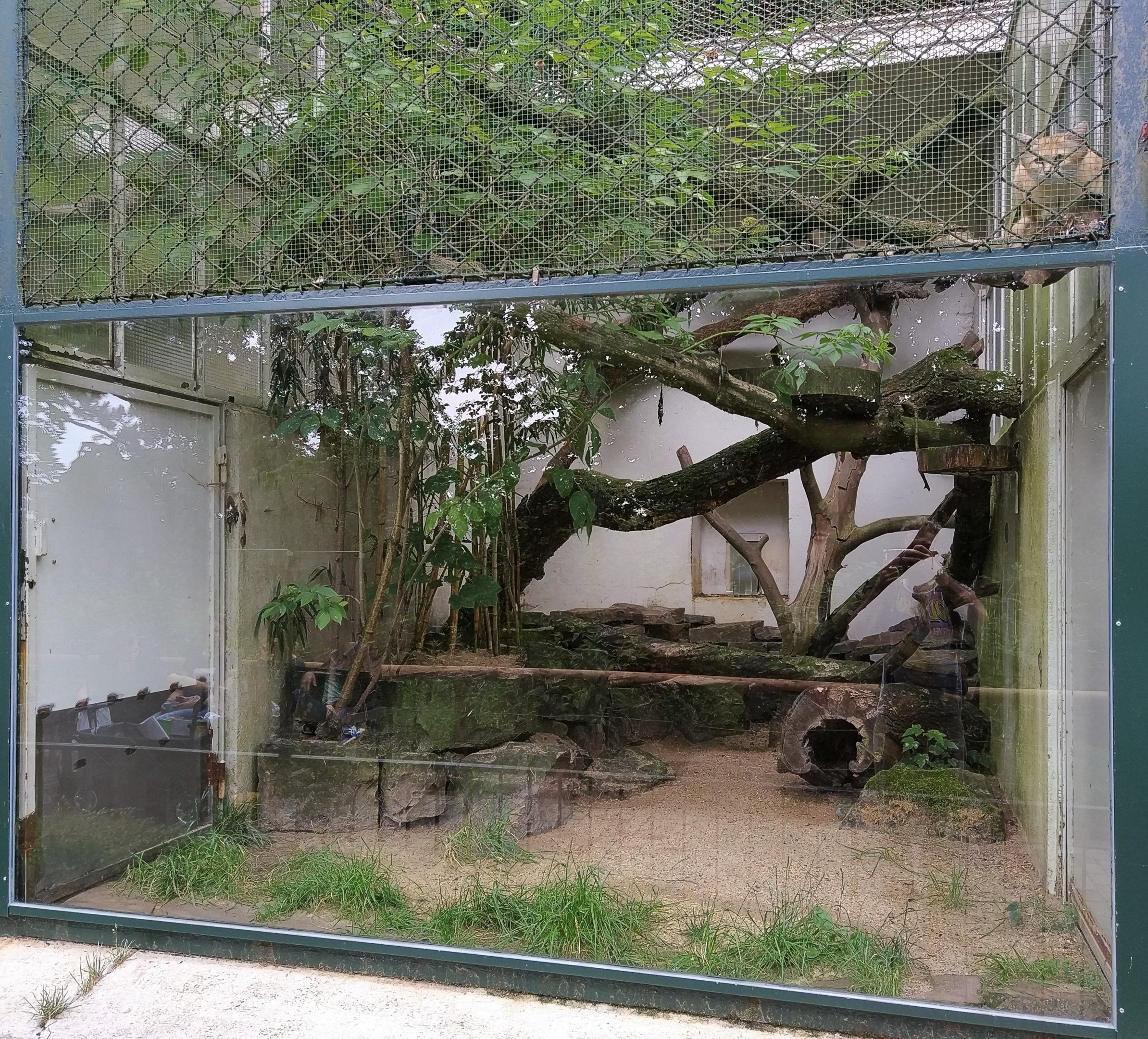 Small Cat House Outdoor Exhibit