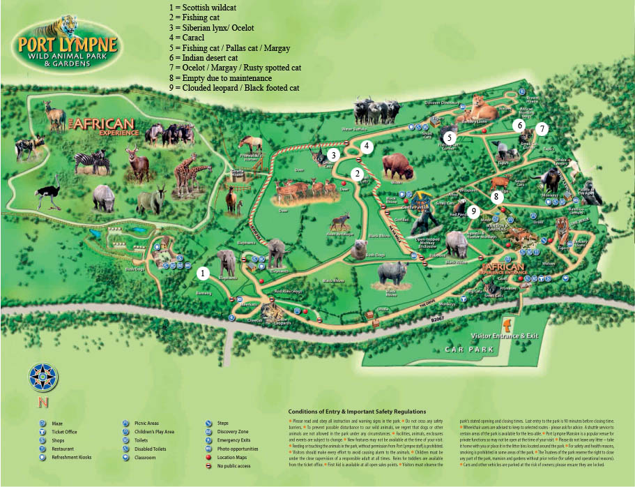 small cat map September 2010