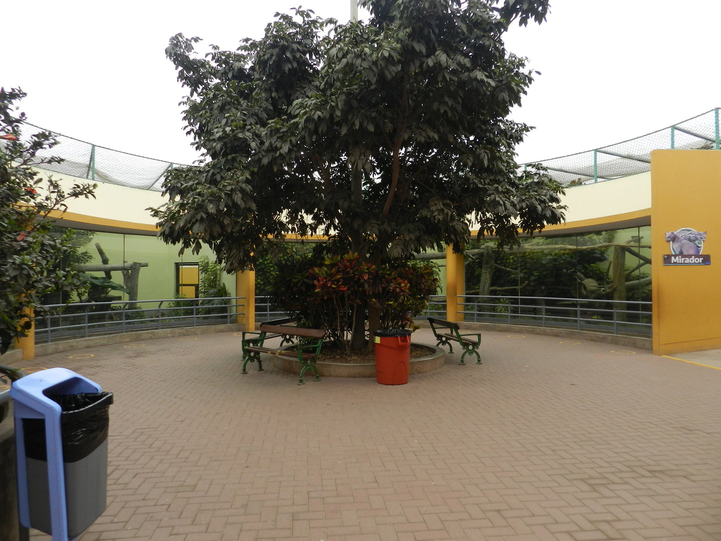 Small cat square - Parque de Las Leyendas