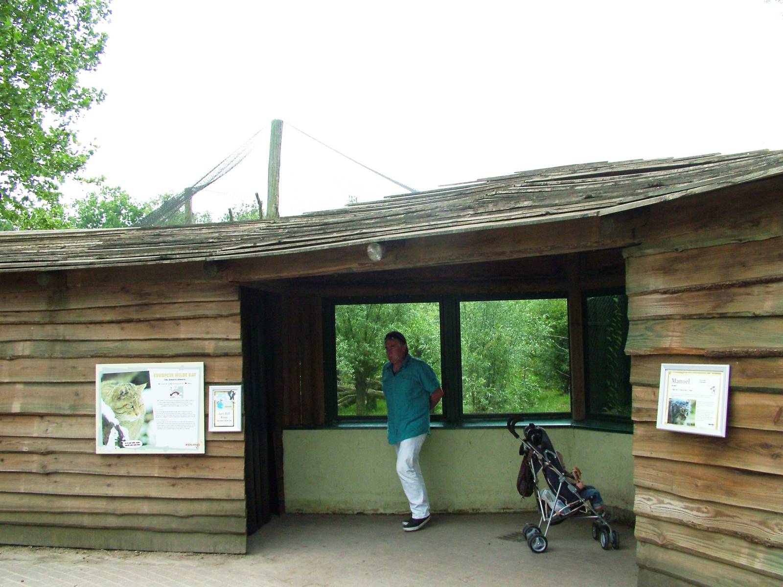 Small Cat Viewing Area at Dierenrijk, 31/05/12