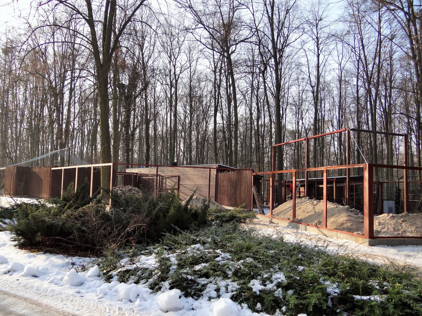 Small cats exhibits under construction