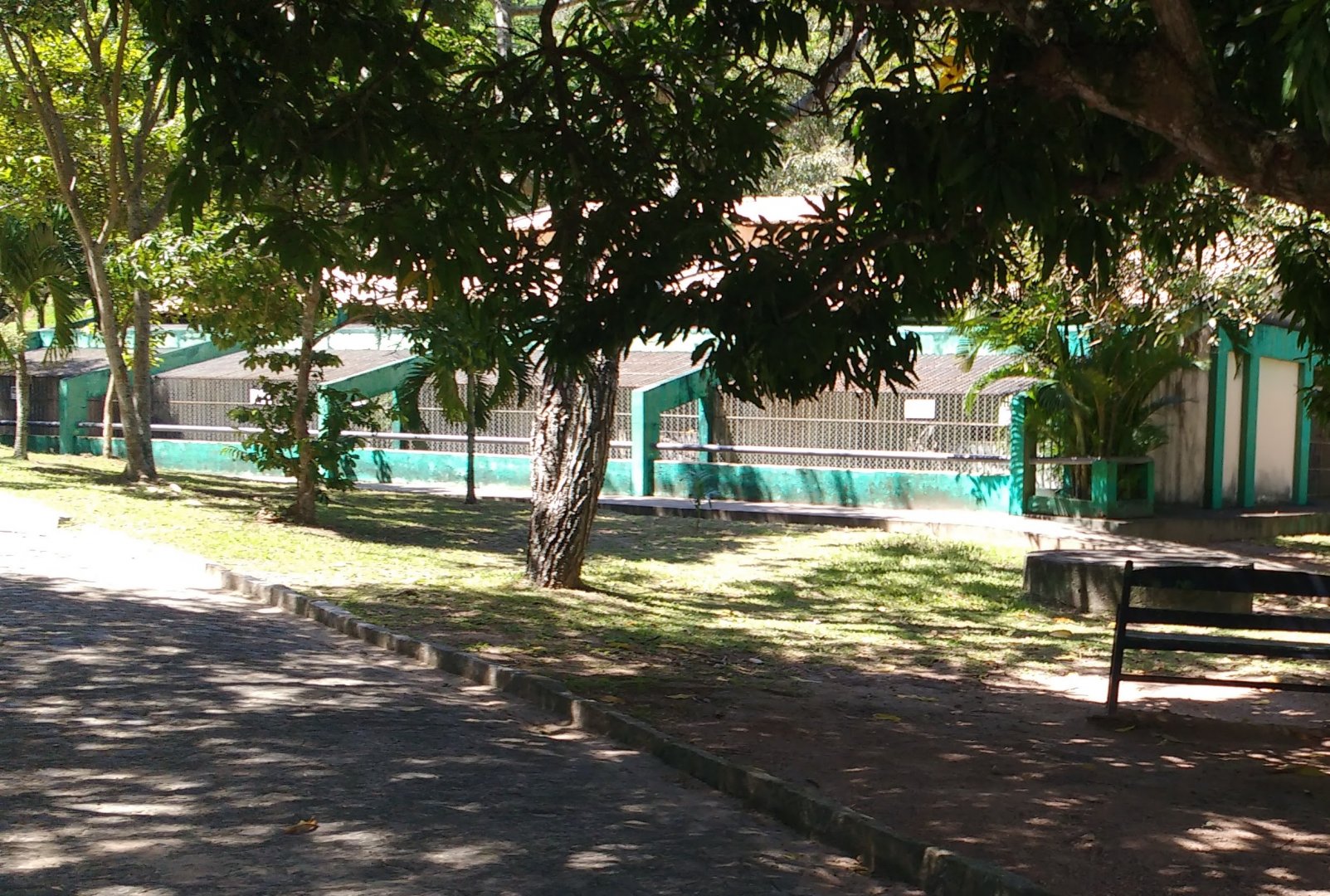 Small cats row - Aracaju zoo