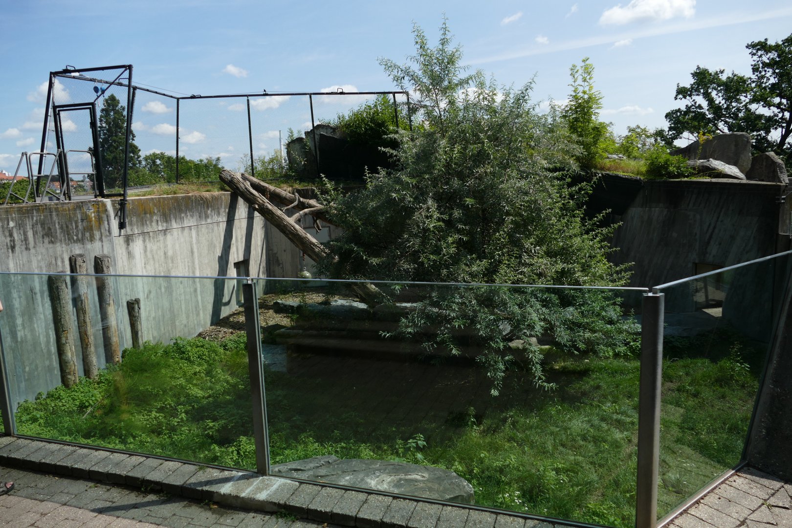 Small Cheetah Enclosure