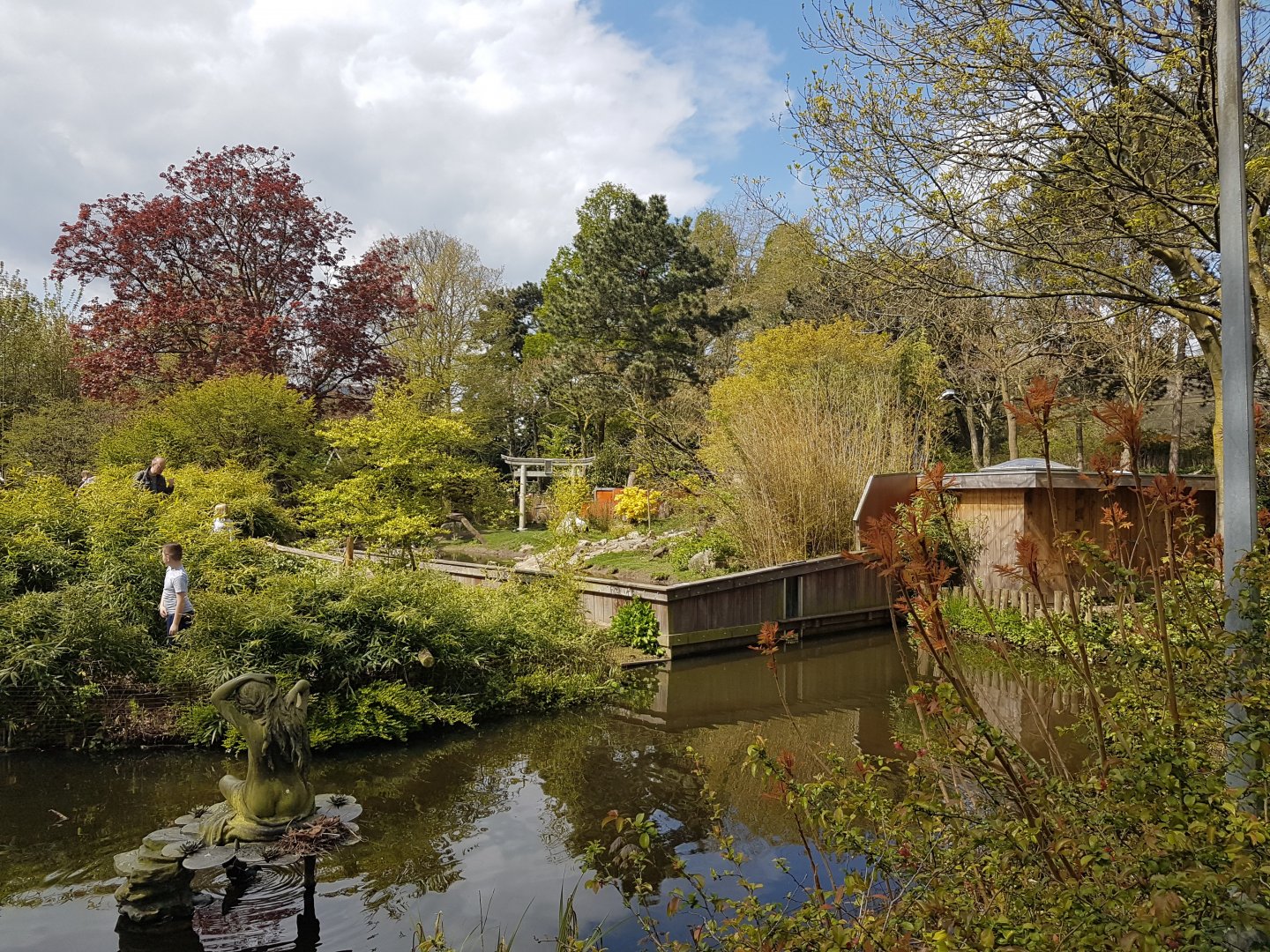 Small Chinese Garden