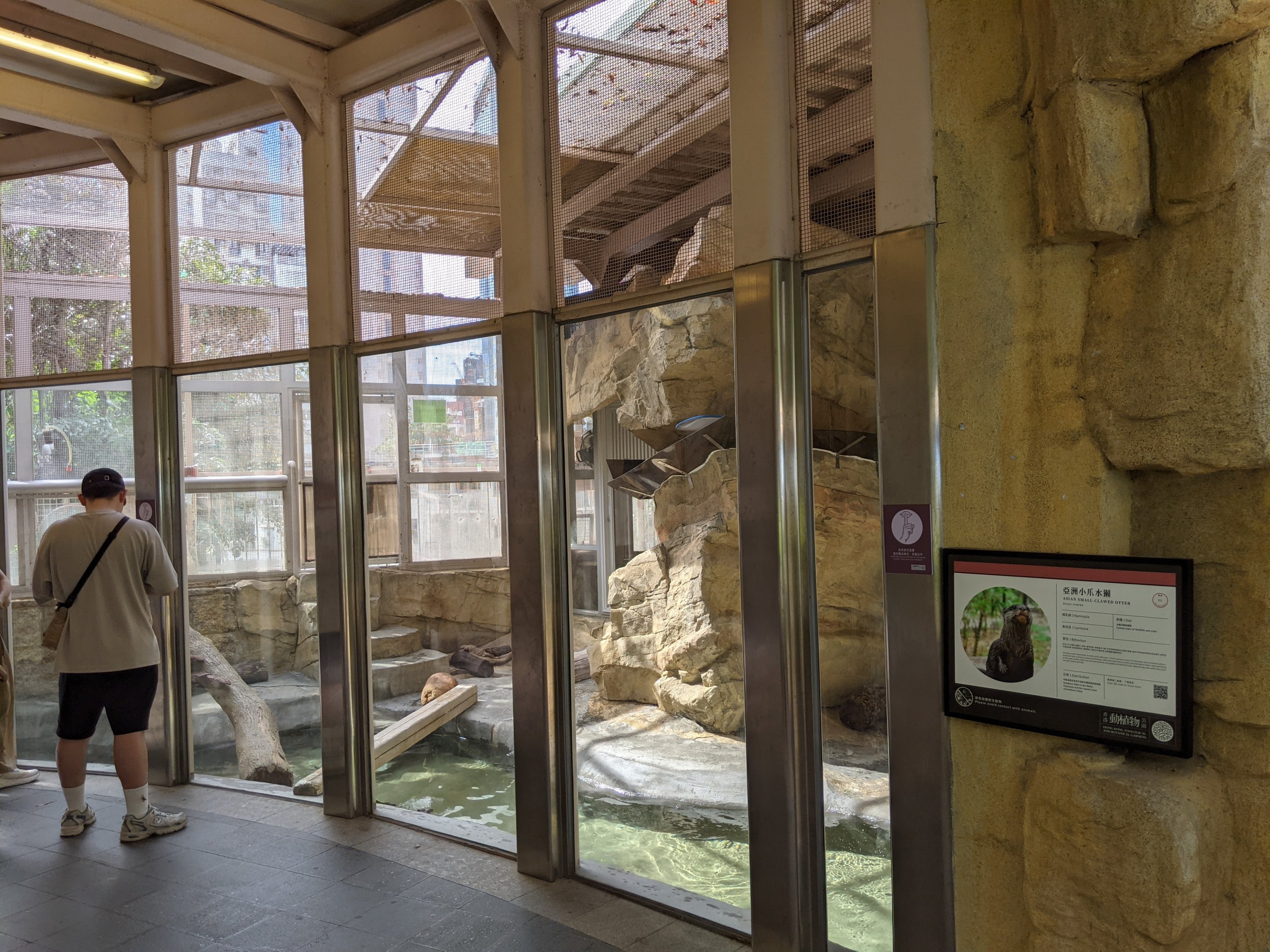 Small-clawed Otter (Aonyx cinereus) enclosure