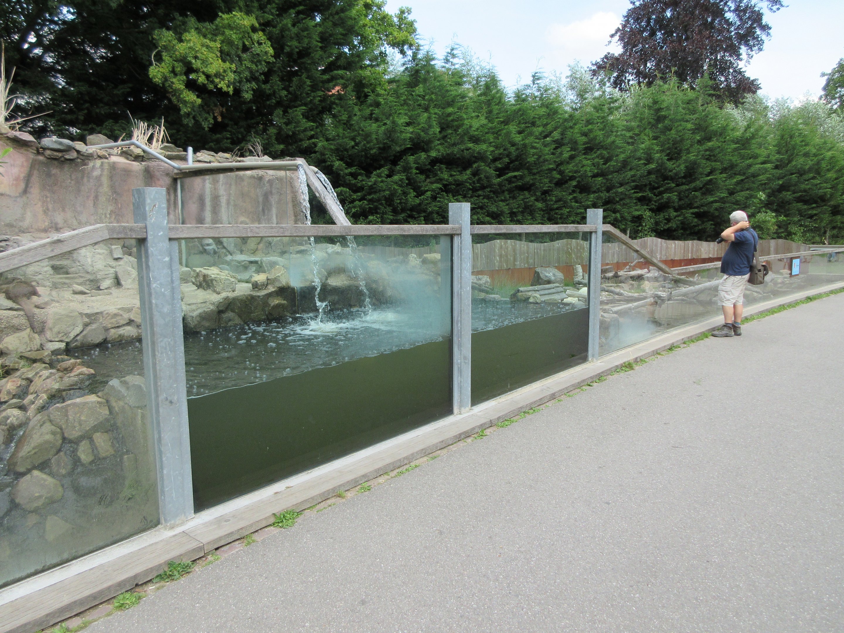 Small-clawed Otter + Coypu Exhibits