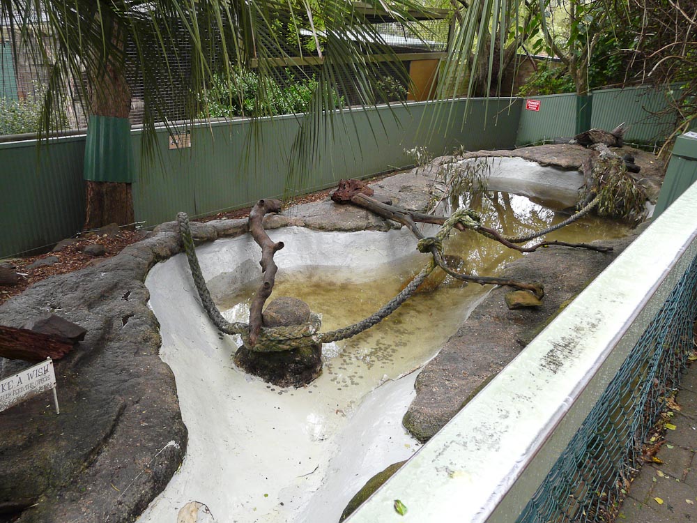 Small-clawed otter enclosure