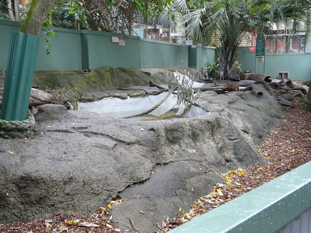 Small-clawed otter enclosure