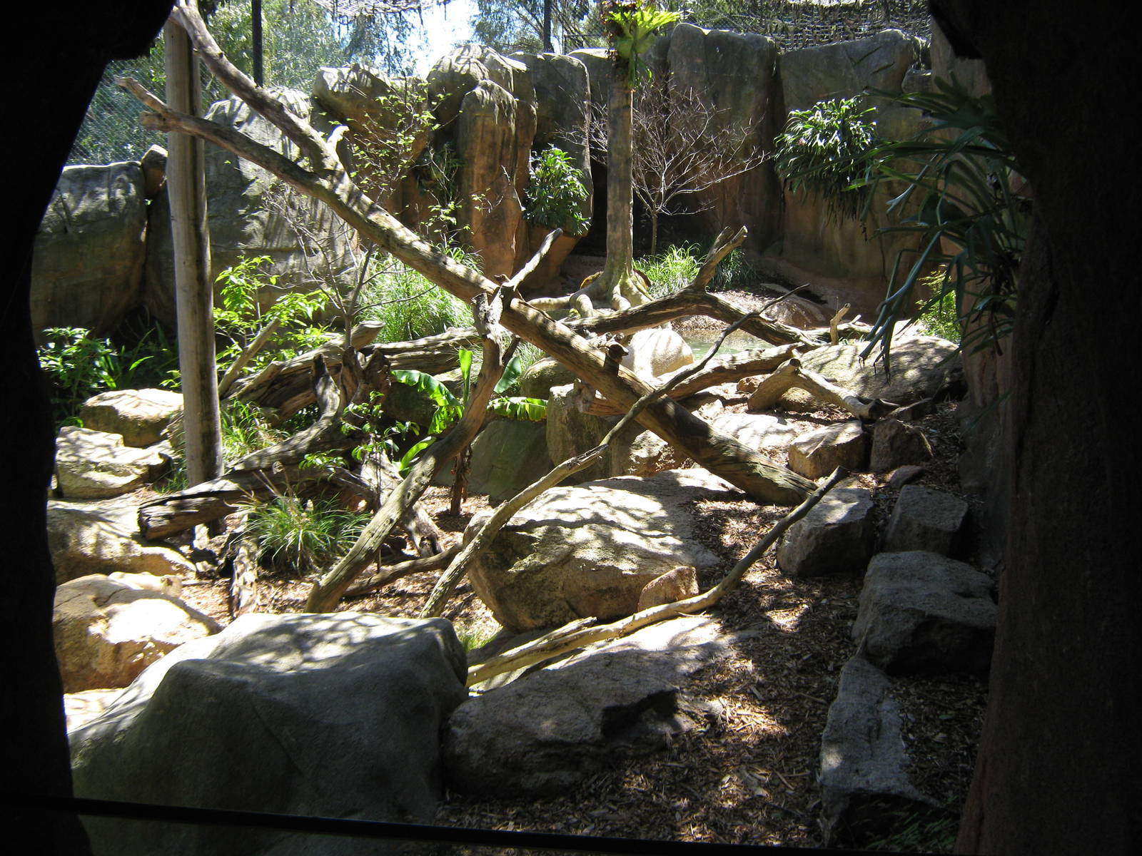 small-clawed otter enclosure