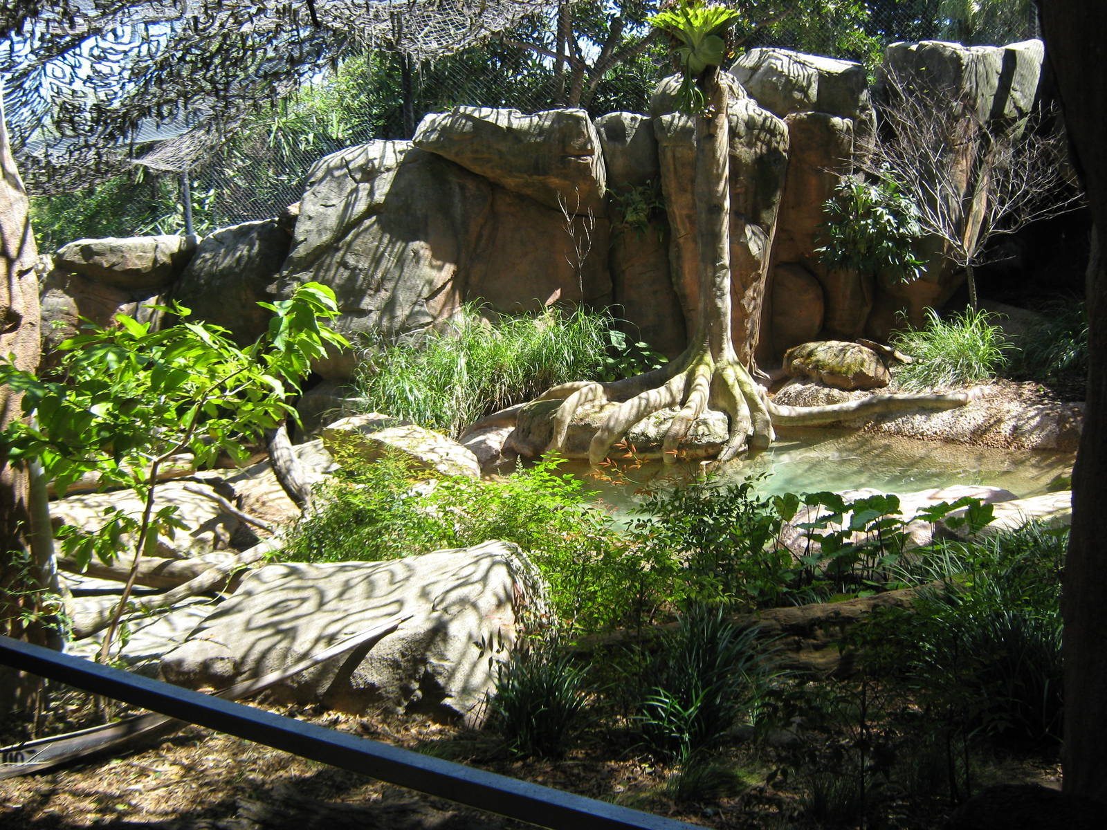 small-clawed otter enclosure