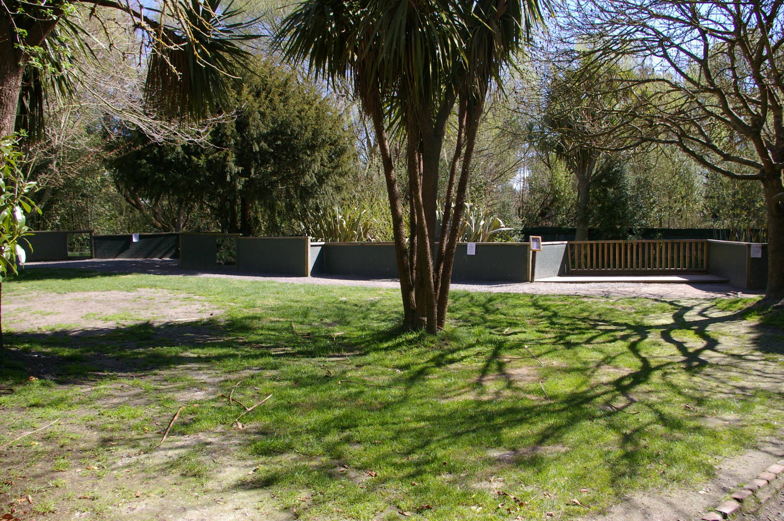 Small-clawed Otter enclosure