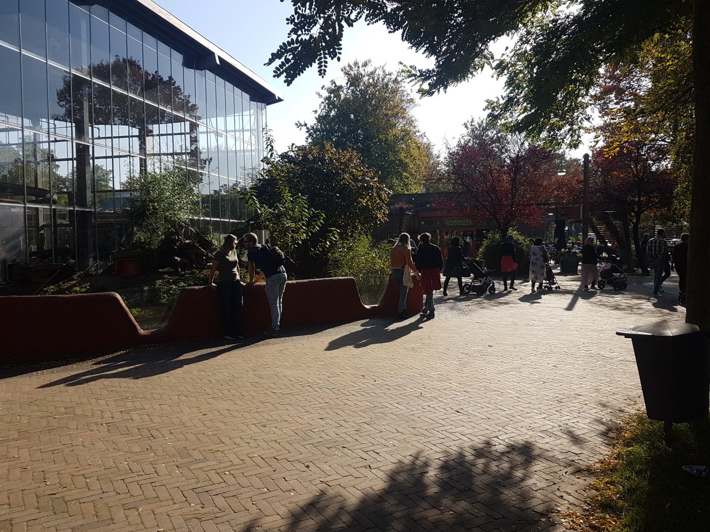 Small-clawed otter-enclosure