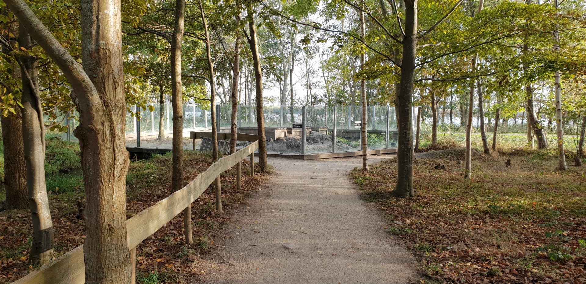 Small-clawed otter enclosure