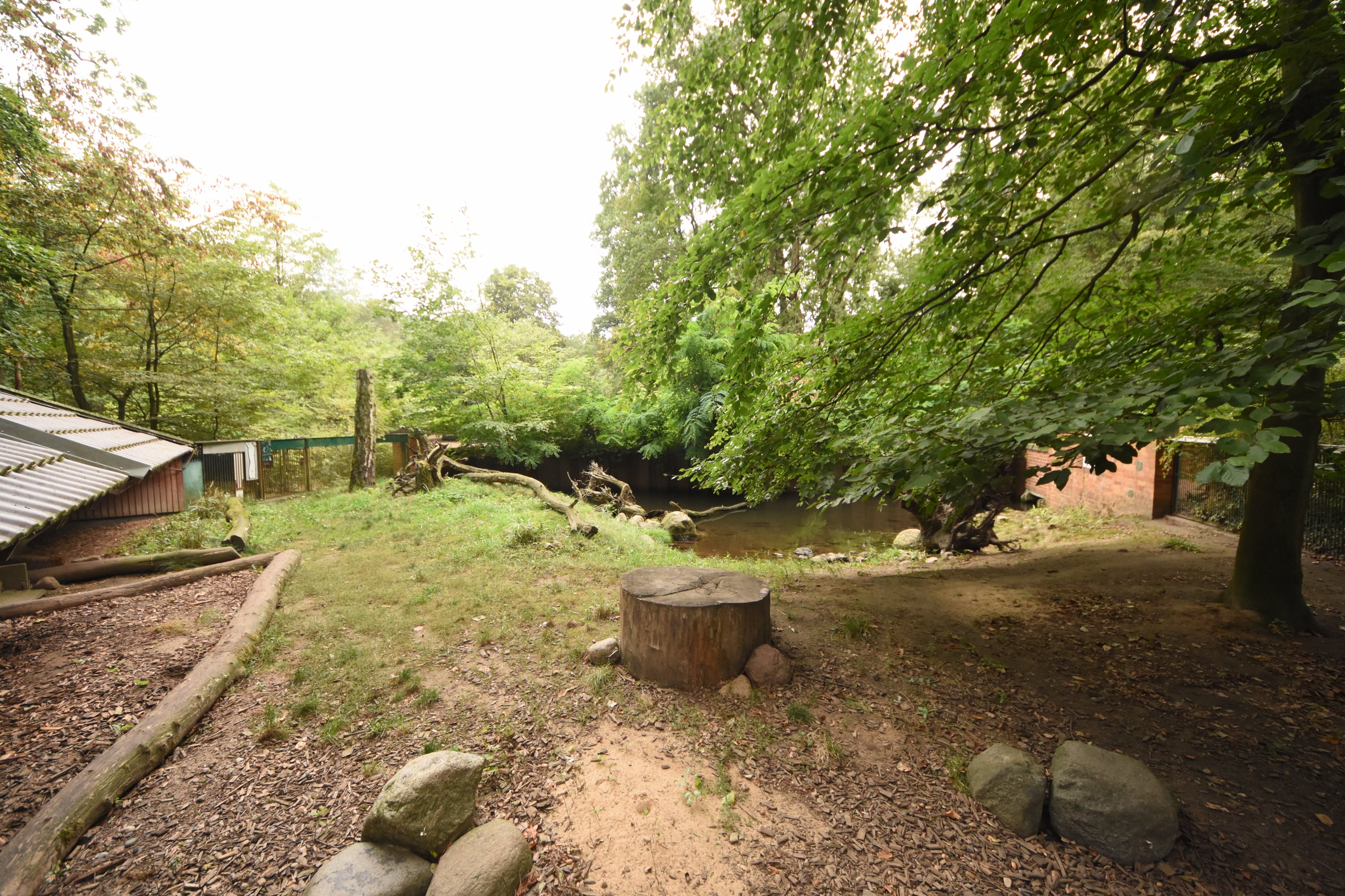 Small-clawed otter enclosure