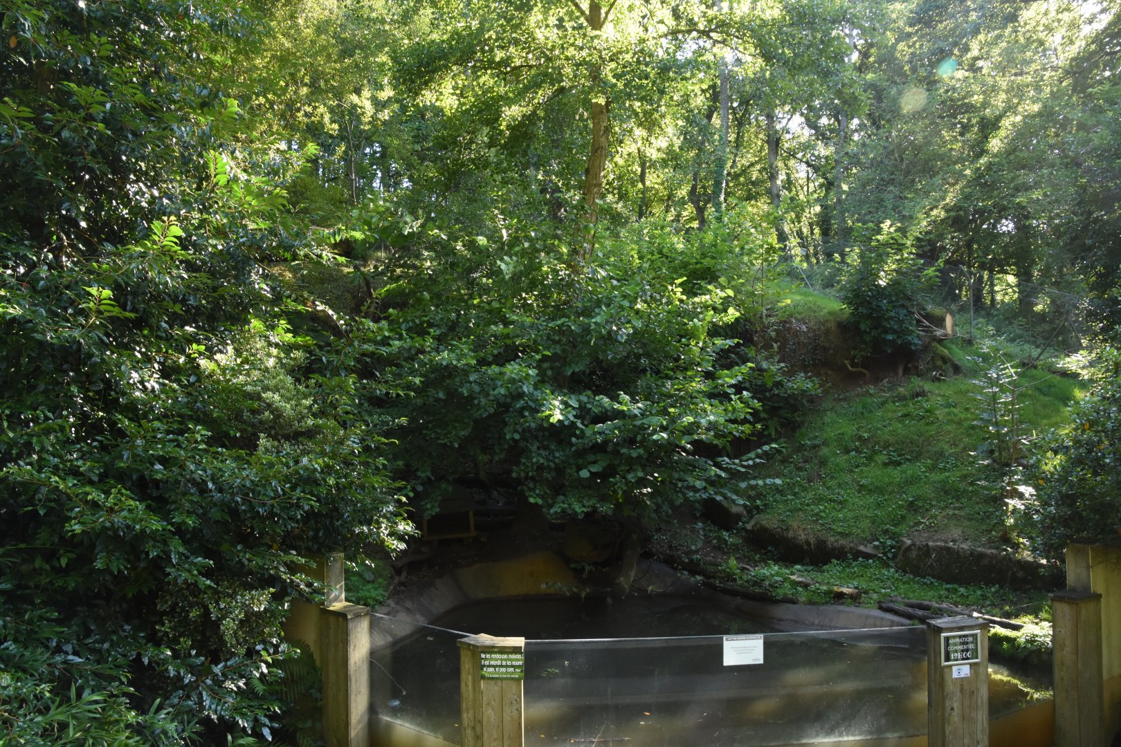 Small-clawed Otter enclosure