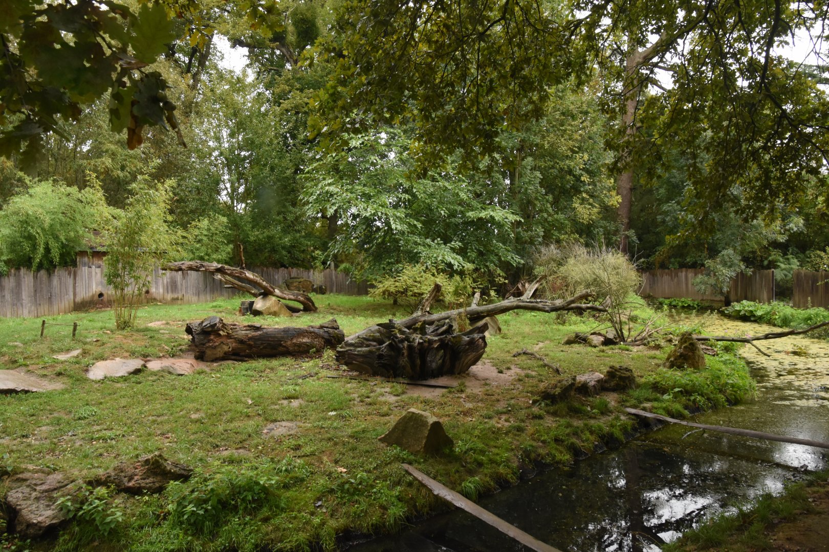 Small-clawed Otter enclosure