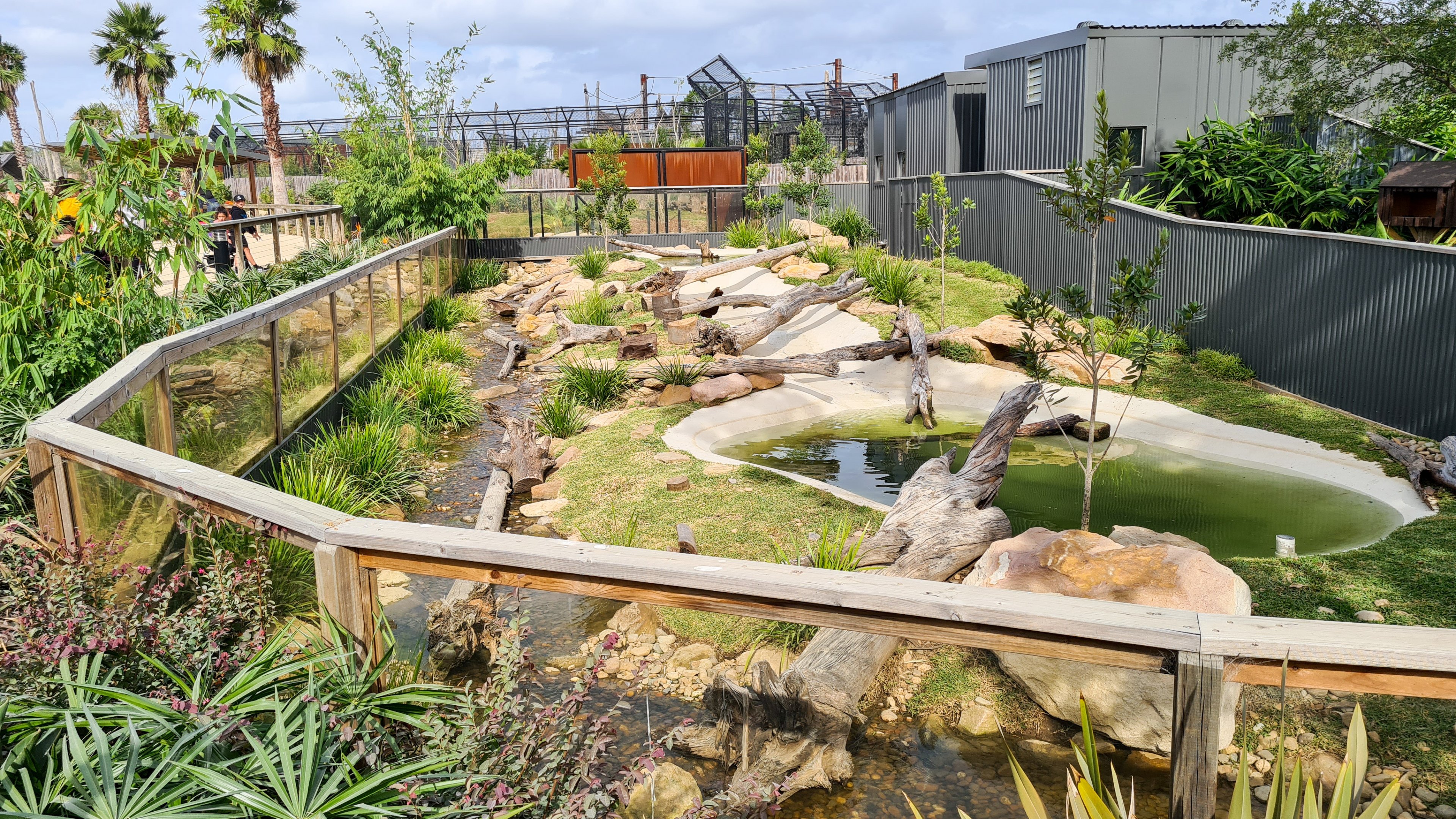 Small-clawed otter enclosure