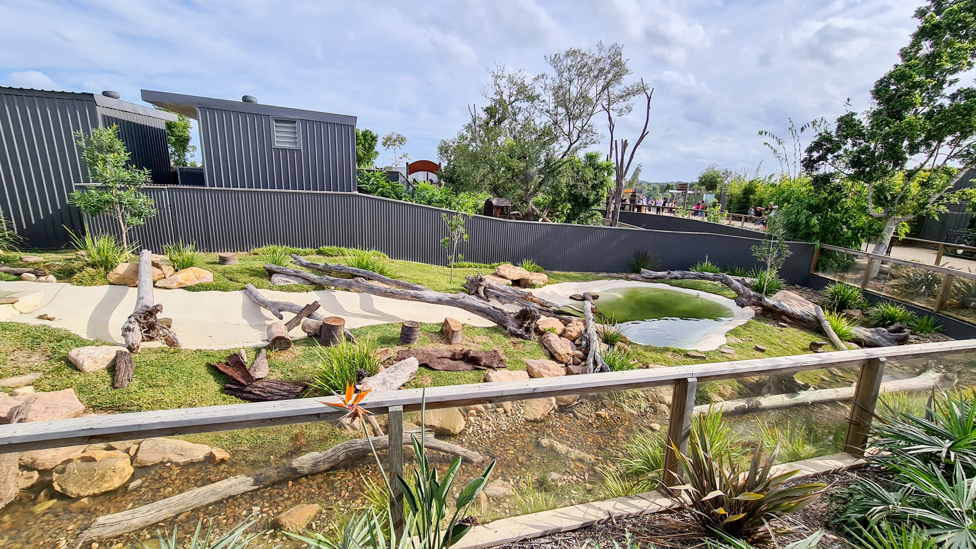 Small-clawed otter enclosure