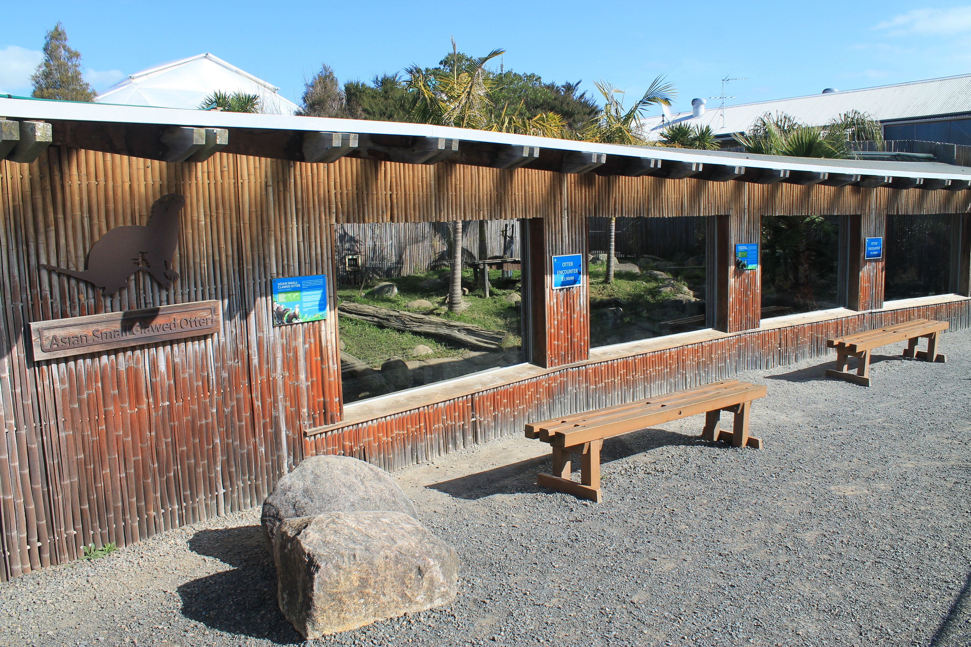 Small-clawed Otter enclosure