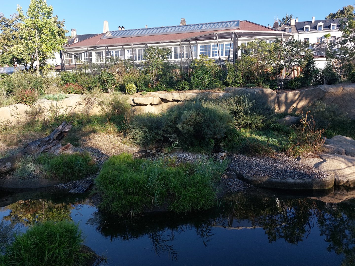 Small-clawed otter enclosure