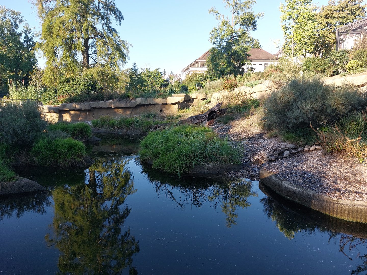 Small-clawed otter enclosure