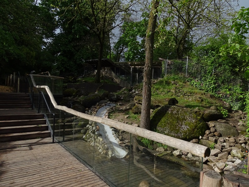 Small-clawed otter enclosure