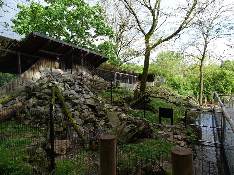 Small-clawed otter enclosure