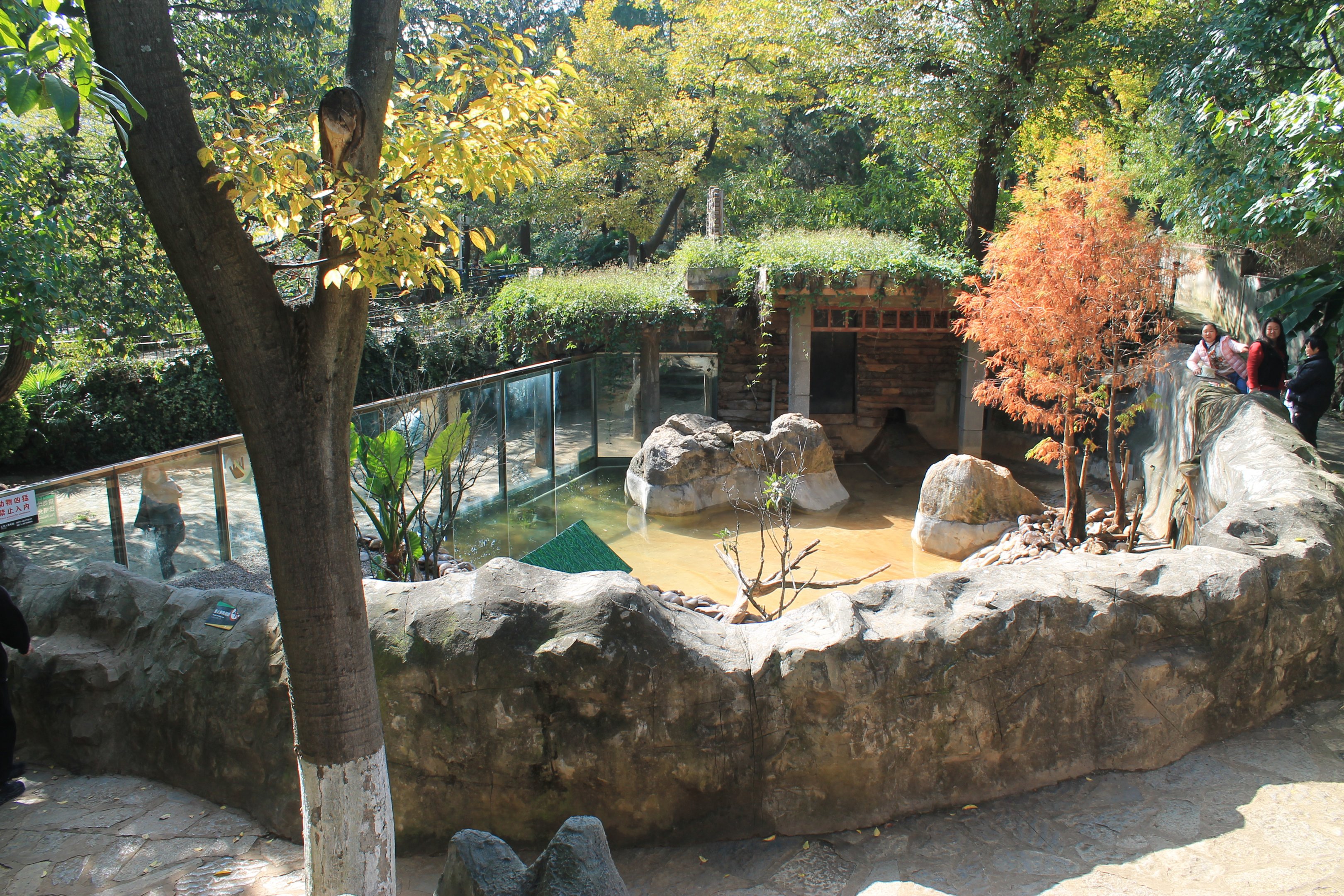 Small-clawed Otter enclosure