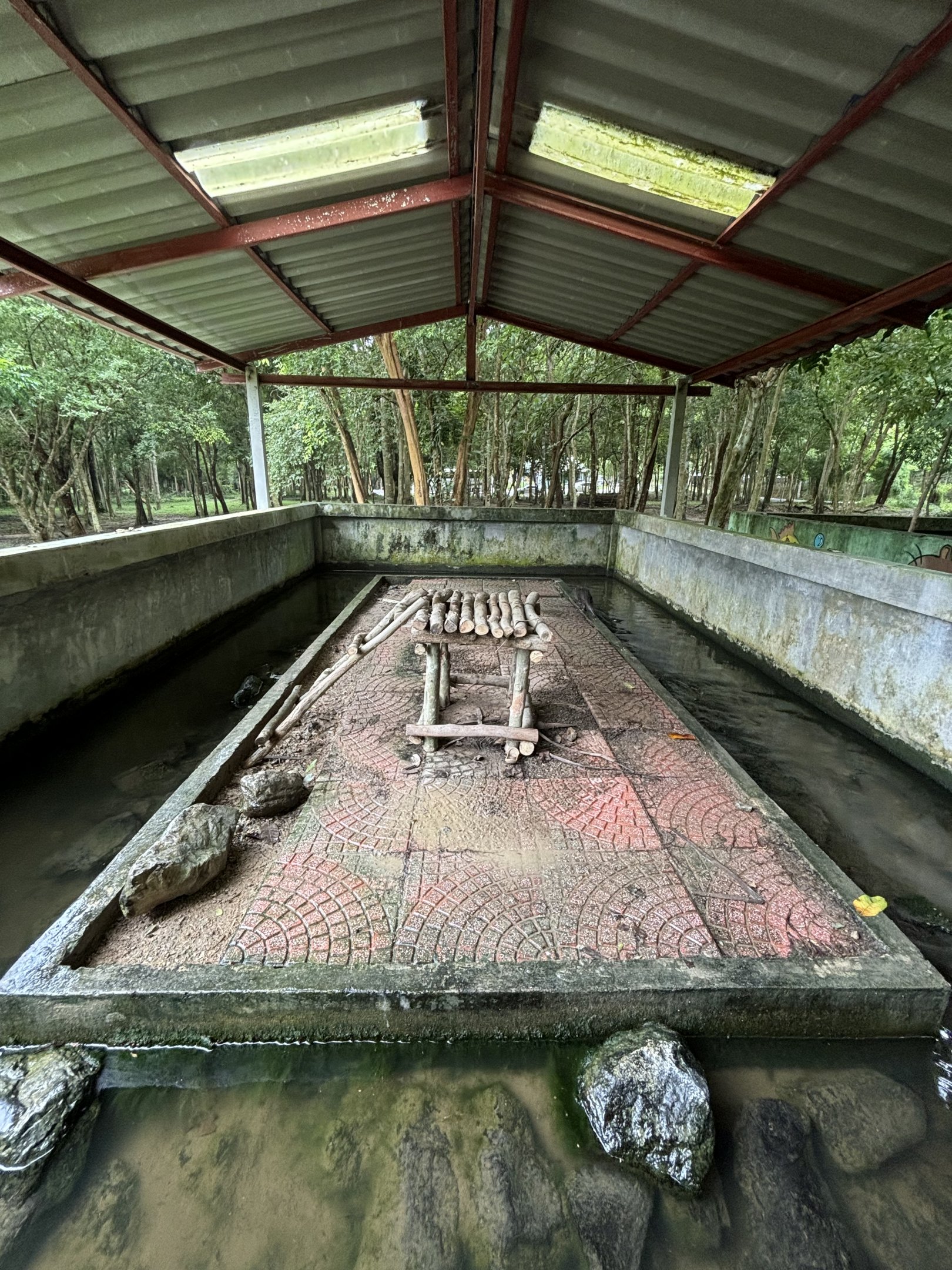 Small-clawed Otter Exhibit #1