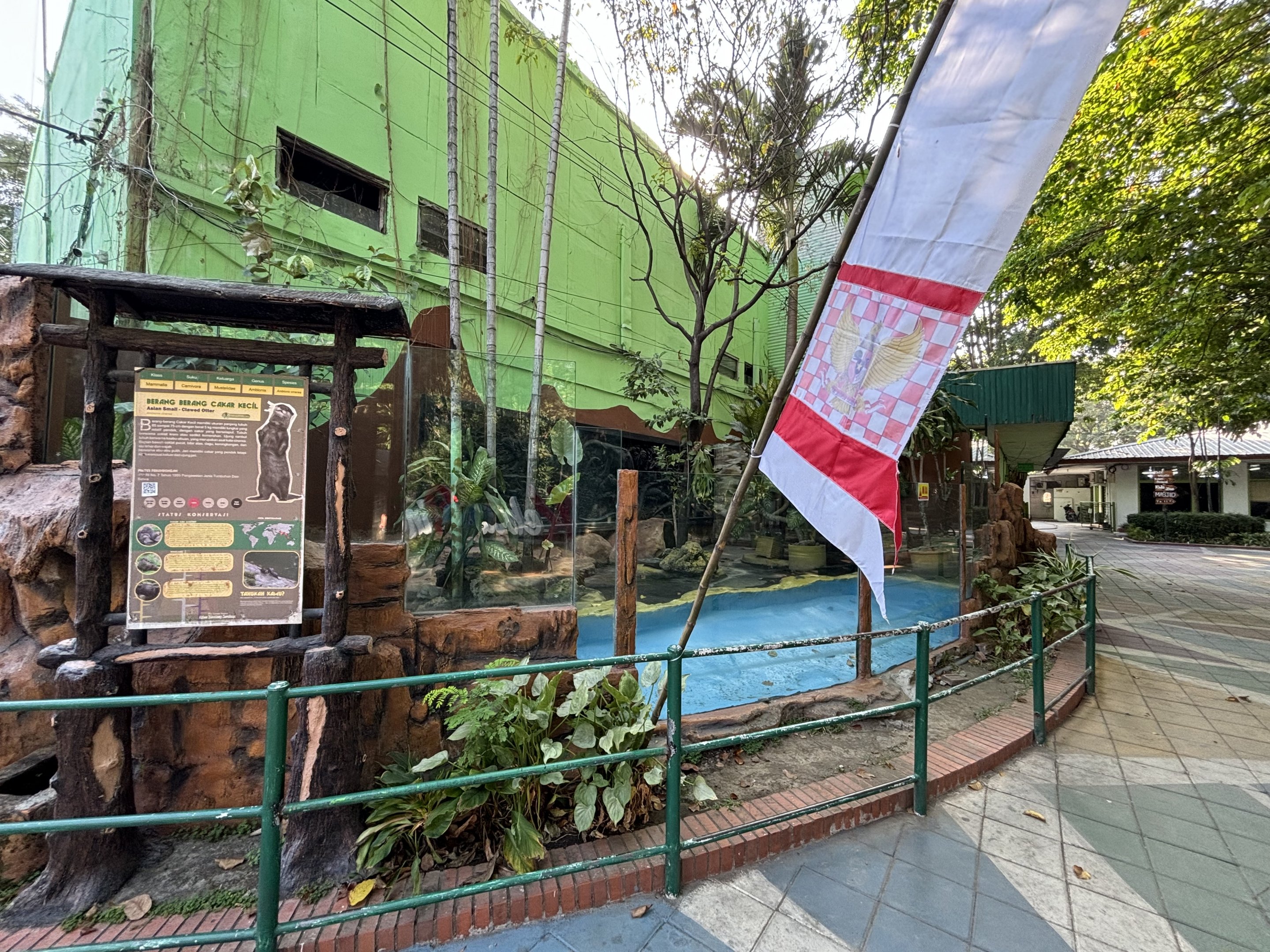 Small-clawed Otter Exhibit #1